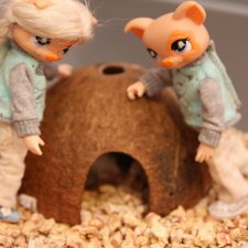 Страшный зверь в дюне