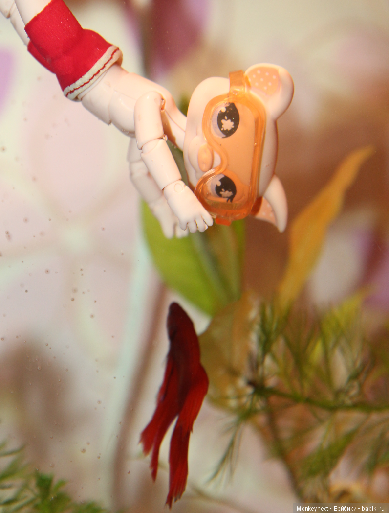 Звезда или давно обещанный подарок для Вари