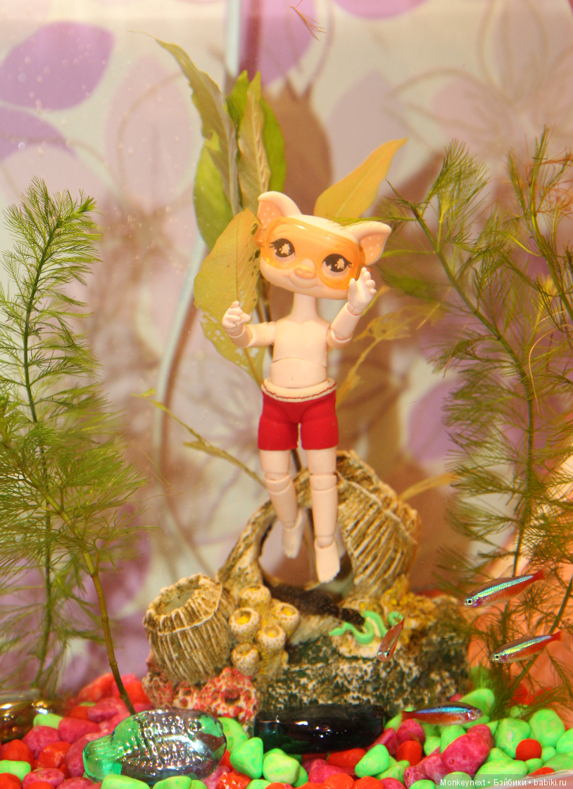 Звезда или давно обещанный подарок для Вари (фото 7)