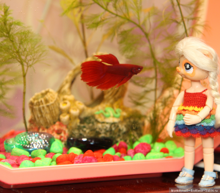 Звезда или давно обещанный подарок для Вари (фото 2)