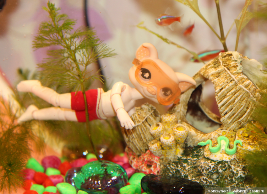 Звезда или давно обещанный подарок для Вари