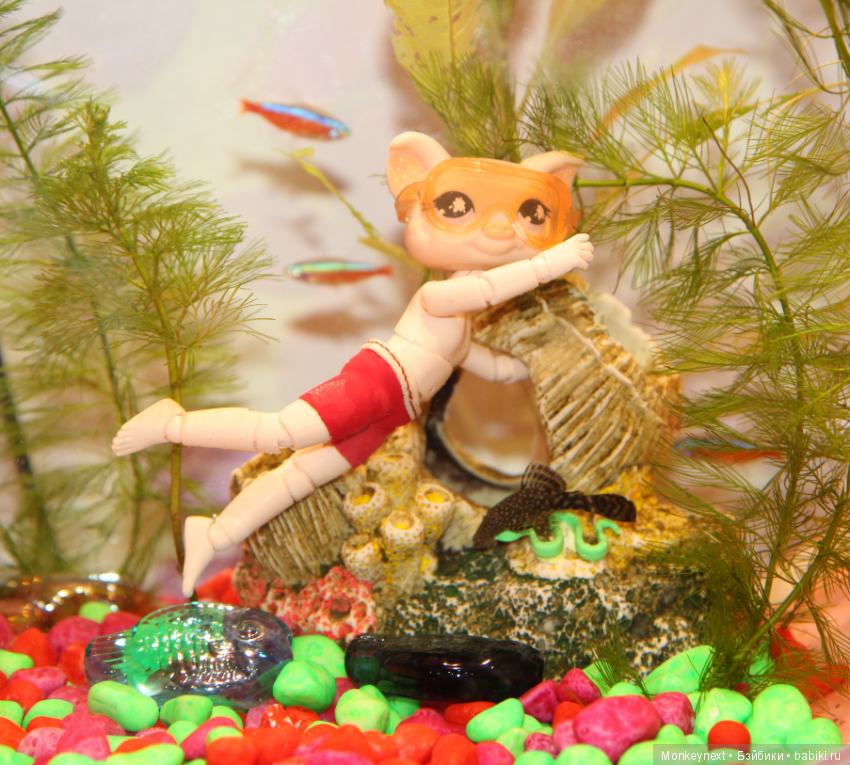 Звезда или давно обещанный подарок для Вари (фото 5)