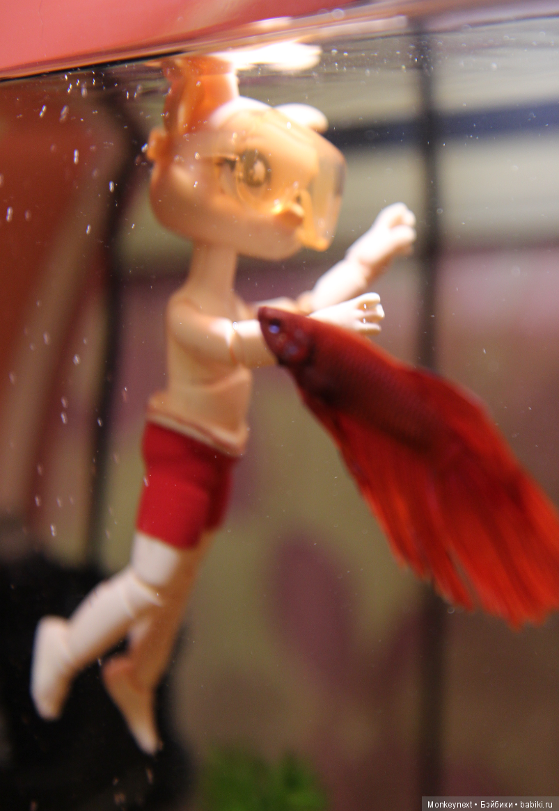 Звезда или давно обещанный подарок для Вари (фото 9)