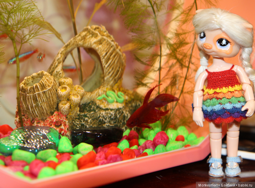 Звезда или давно обещанный подарок для Вари