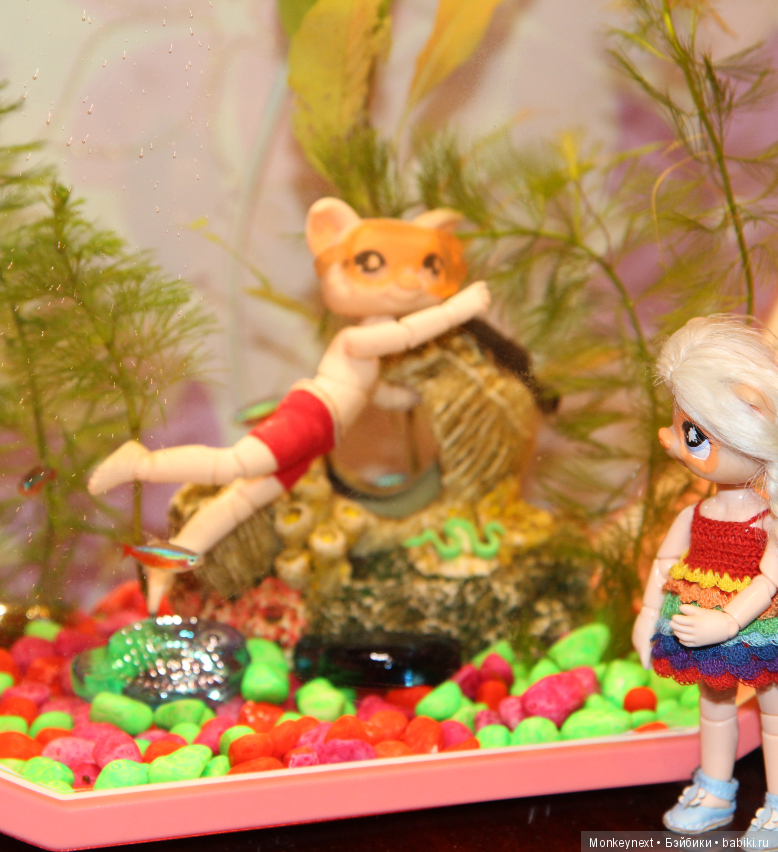 Звезда или давно обещанный подарок для Вари (фото 4)