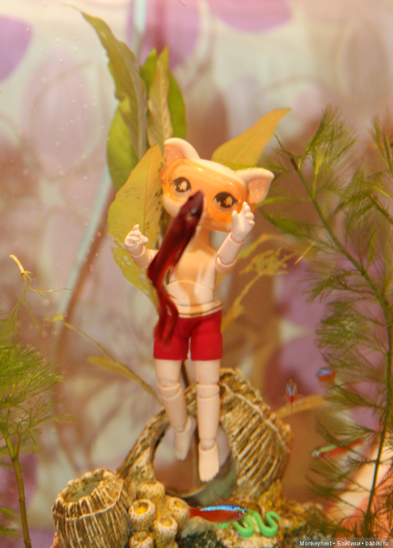 Звезда или давно обещанный подарок для Вари (фото 8)