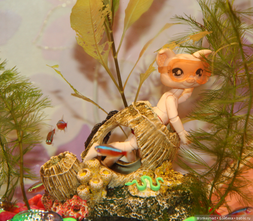 Звезда или давно обещанный подарок для Вари (фото 6)