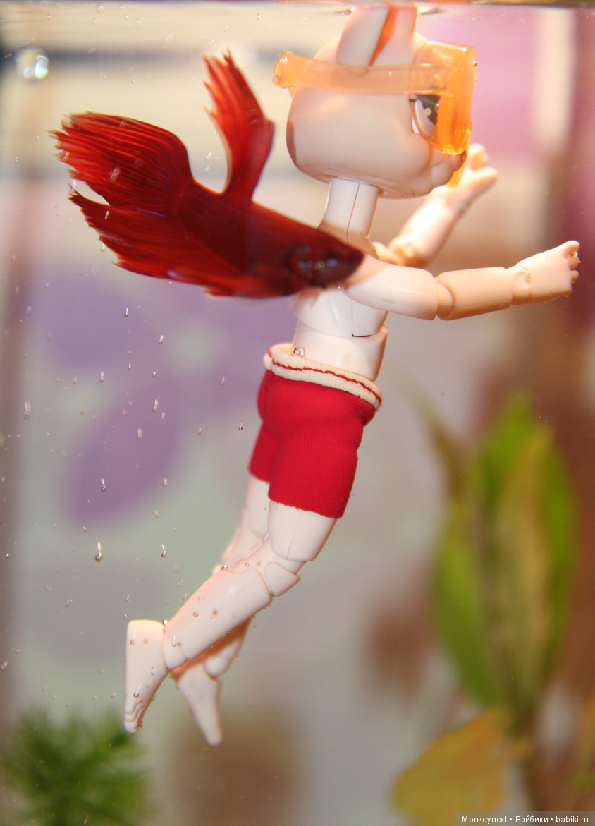 Звезда или давно обещанный подарок для Вари (фото 10)