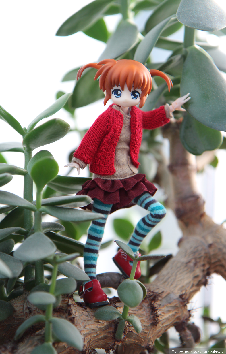 Юи-тян обживается в новом доме (фото 2)