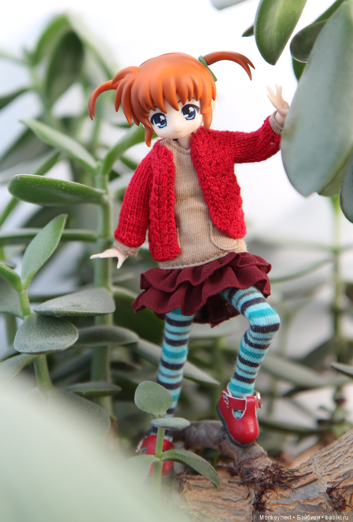 Юи-тян обживается в новом доме