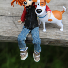 Немного рыжиков в ленту