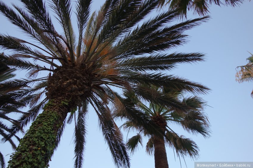 Амигатка на отдыхе — Куклы AmiGaTa (АмиГаТа): авторские BJD (БЖД) (фото 8)