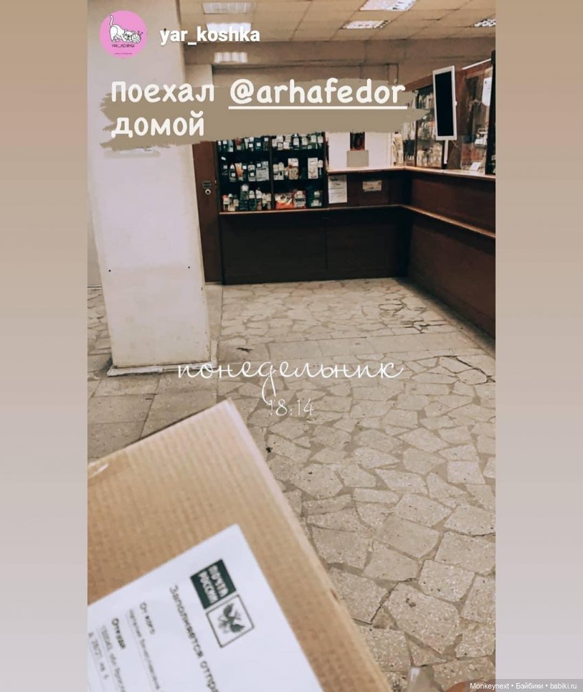 Федор. Часть 3 — Вязаные игрушки и амигуруми: крючком