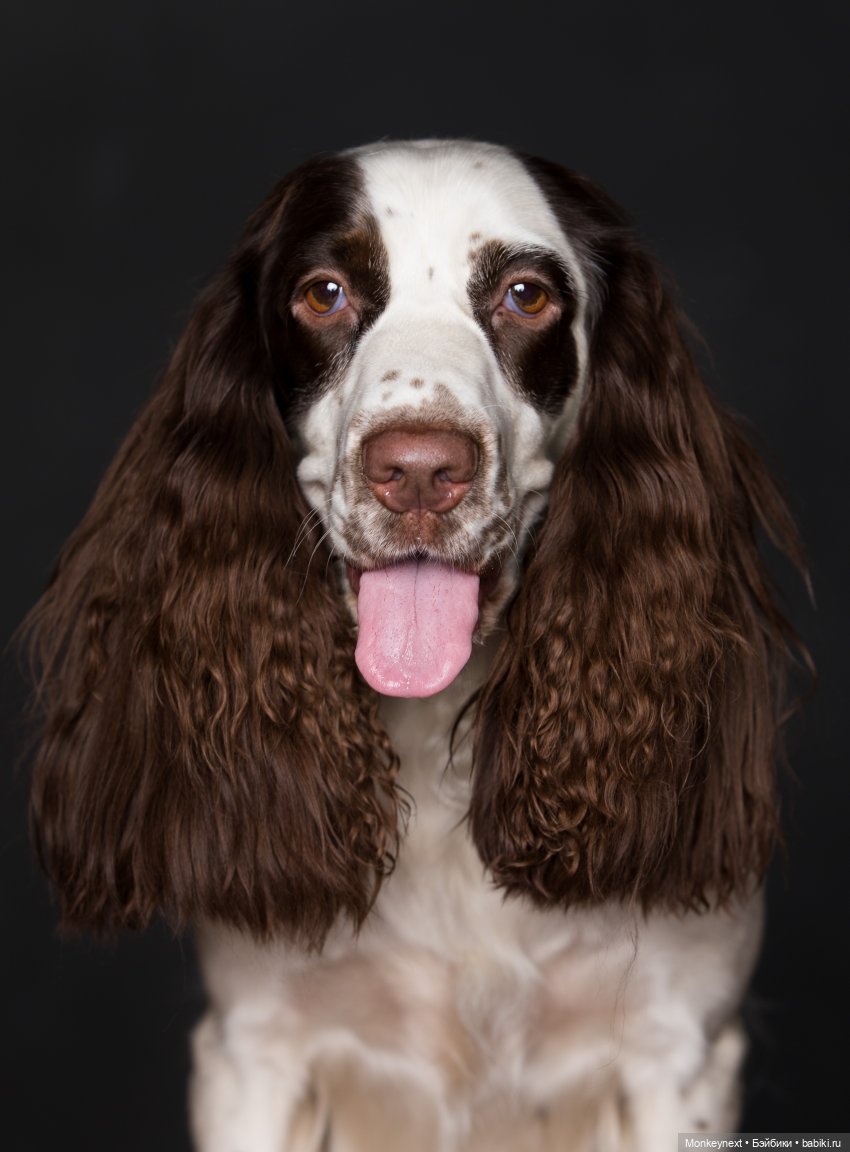 Федор. Часть 5 — Вязаные игрушки и амигуруми: крючком (фото 5)