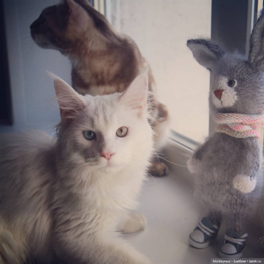 Федор. Часть 5 — Вязаные игрушки и амигуруми: крючком (фото 3)