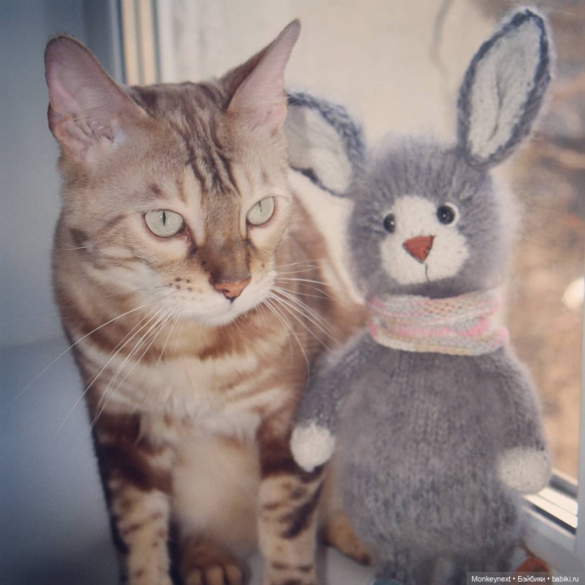 Федор. Часть 5 — Вязаные игрушки и амигуруми: крючком (фото 2)