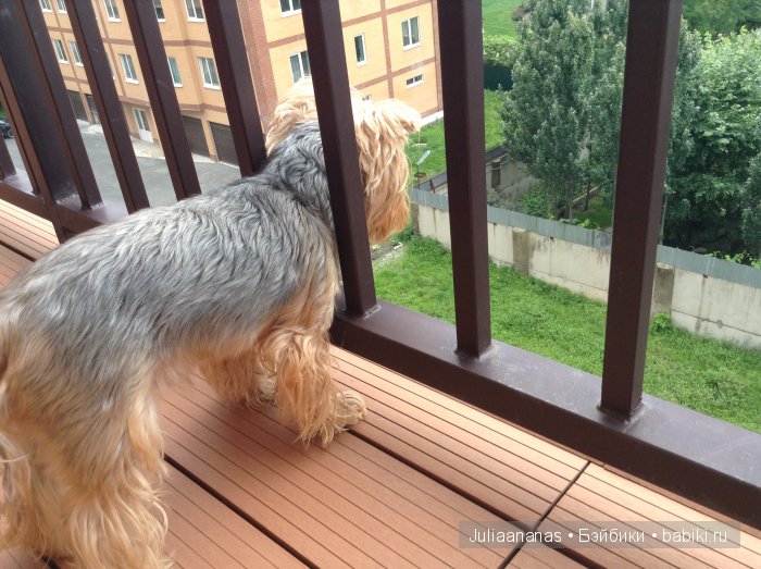 Путешествие на балконе — Другие мини