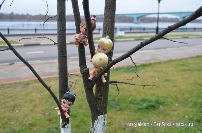 Фото моих Little angels — Другие мини (фото 2)