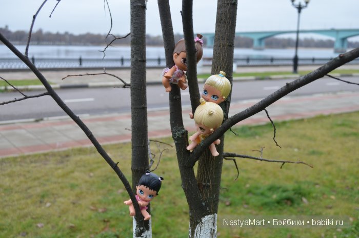 Фото моих Little angels — Другие мини (фото 3)