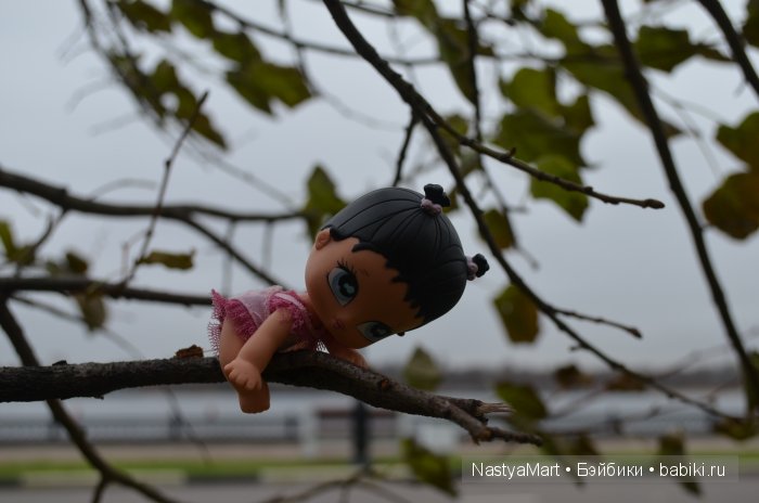 Фото моих Little angels — Другие мини (фото 7)