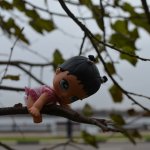 фото моих Little angels