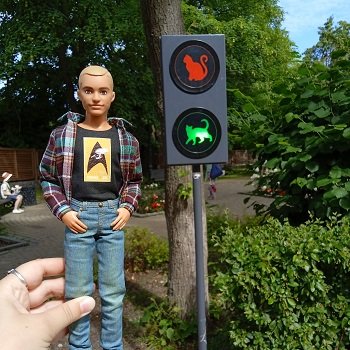 Зеленоградские коты