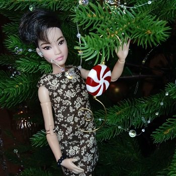 Сон в предновогоднюю ночь!