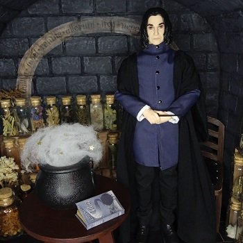 Кабинет мастера зельеварения.