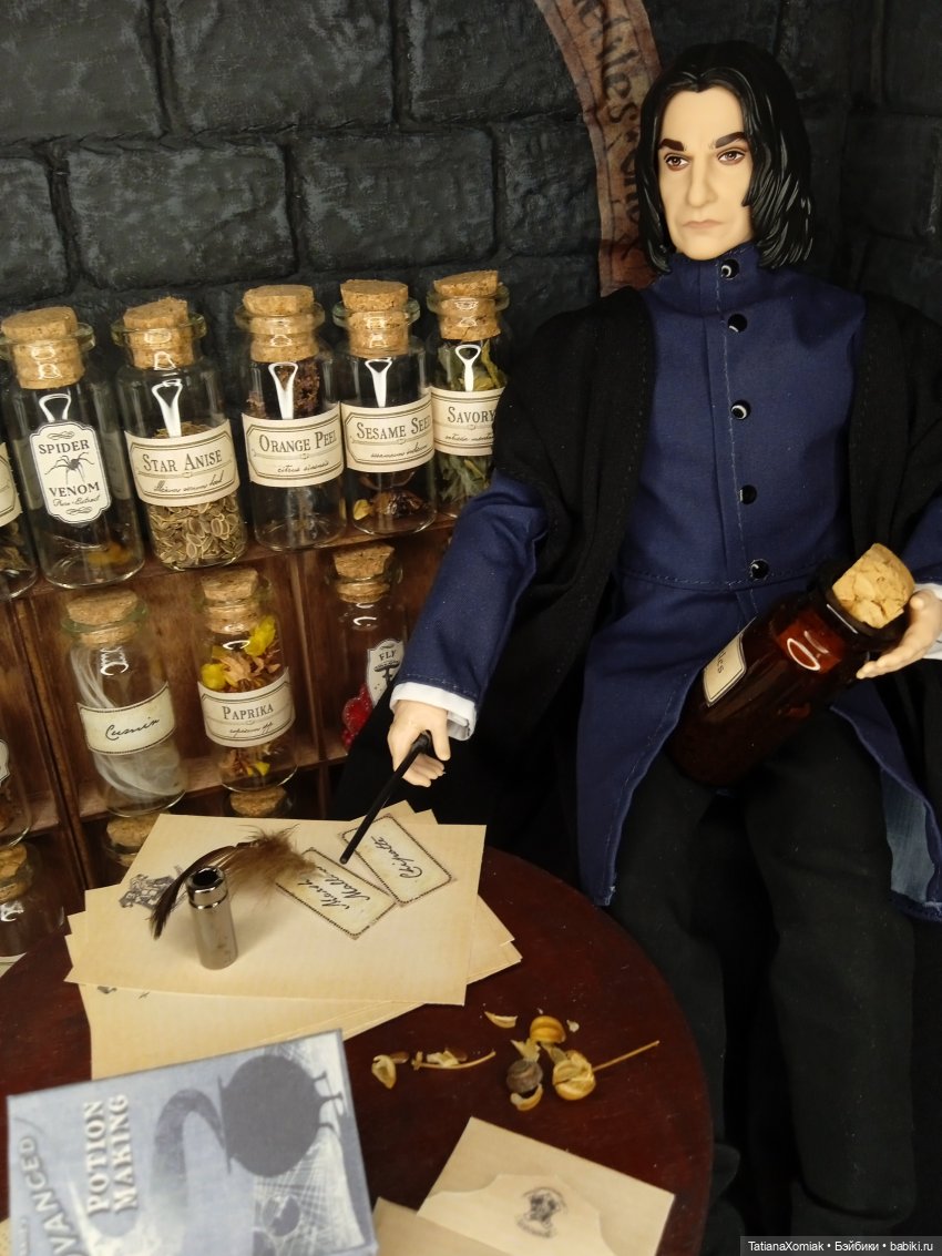 Кабинет мастера зельеварения | Бэйбики Кабинет мастера зельеварения (фото 6)