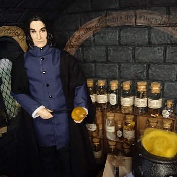 Кабинет мастера зельеварения.