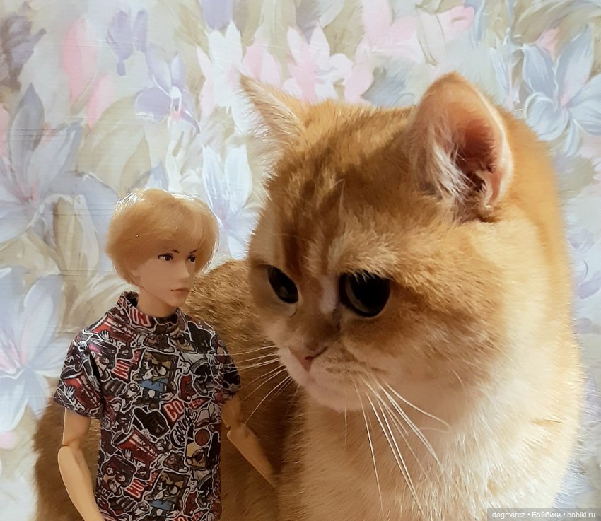 Лето Вентуриса | Бэйбики Лето Вентуриса — Куклы Momoko и Ruruko (Petworks (фото 6)