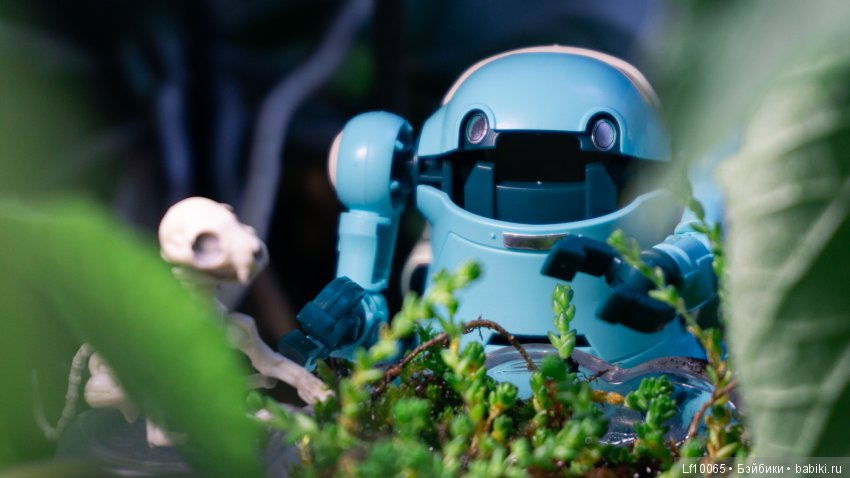 Новые увлечения Сида — Игровые куклы разных производителей (Разное): редкие бренды (фото 7)