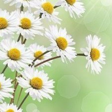 Муж постарался