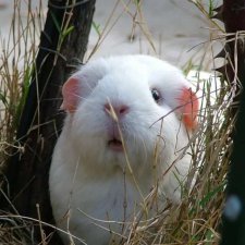 Хочу поделится мыслью