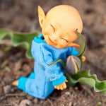 Мироша на прогулке