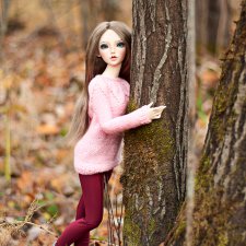 Лесная прогулка