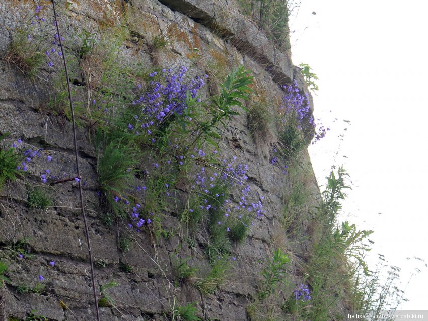 Орешек. Крепость-ключ — Туризм и путешествия: фотоотчеты из поездок
