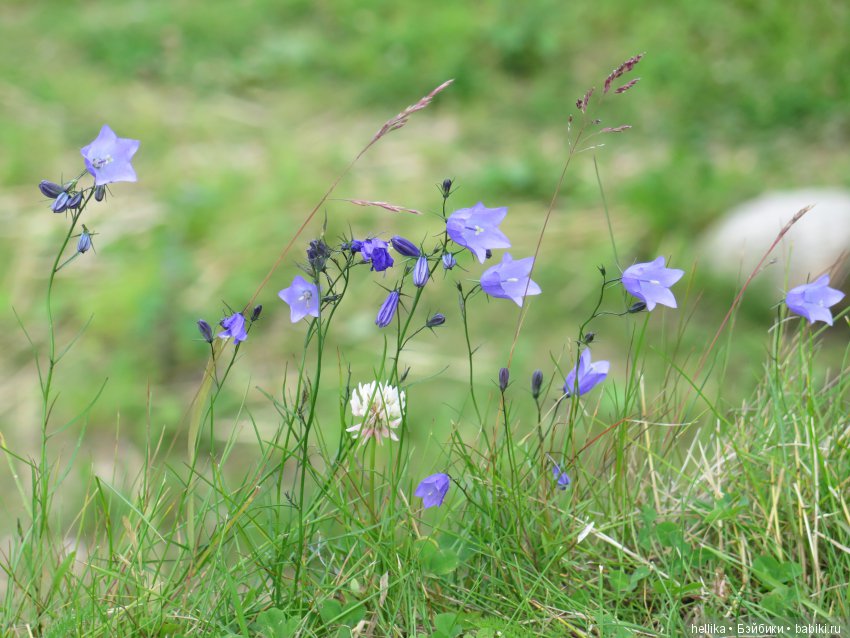 Орешек. Крепость-ключ — Туризм и путешествия: фотоотчеты из поездок