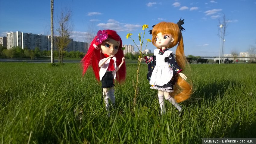 Головастики в Братеевском парке (фото 8)