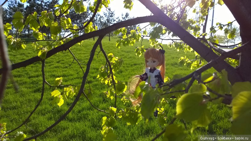 Головастики в Братеевском парке