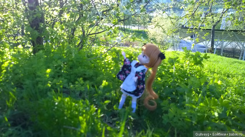 Головастики в Братеевском парке (фото 4)