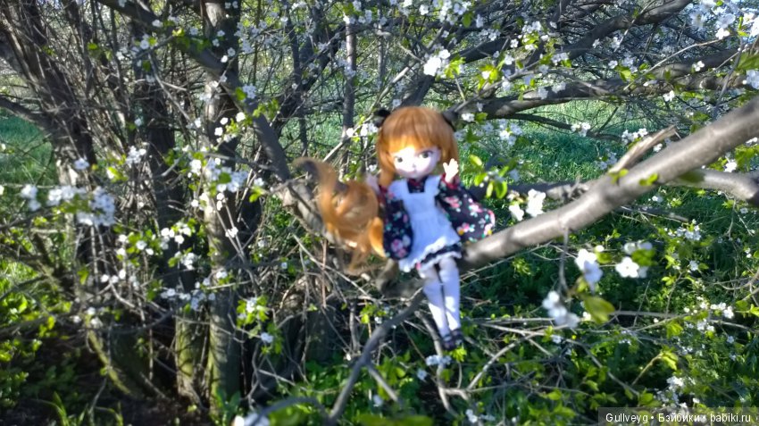 Головастики в Братеевском парке (фото 3)