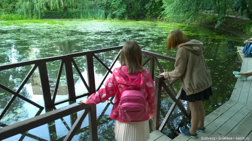 Прогулка по волшебной стране