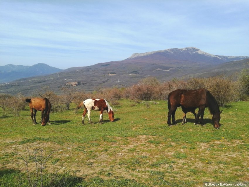 Крымские каникулы — Туризм и путешествия: фотоотчеты из поездок