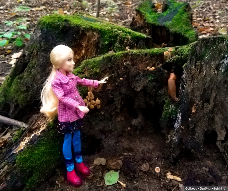 Луна на прогулке — Куклы Monster High и Ever After High: G1