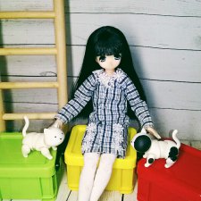 Тори и котики