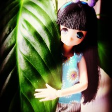 Тори. Солнышко на подоконнике♡