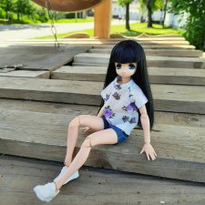 Солнечный день, гуляем с Тори.