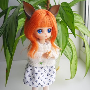 Миу, фото с подоконника