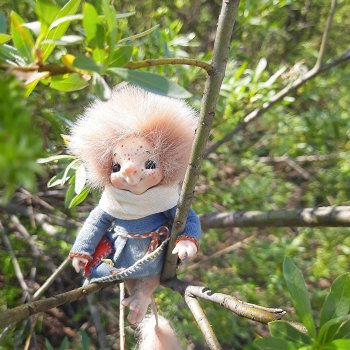 Луша. Аука, фото с улицы